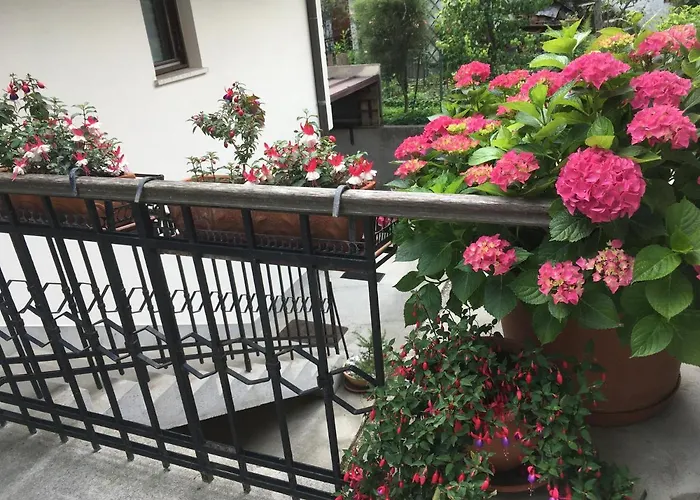 House Natura With Garden *