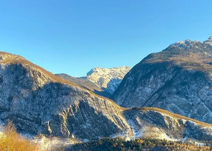 House Natura With Garden *