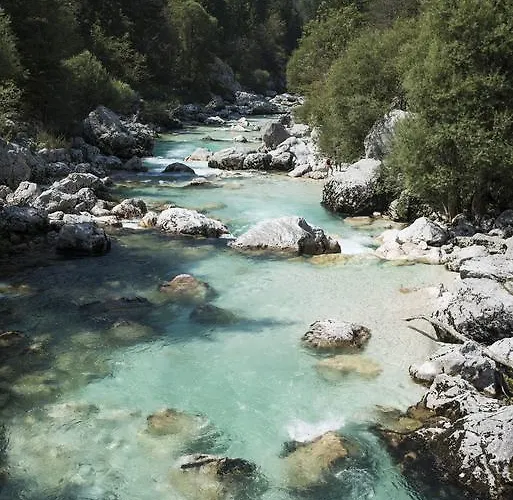 House Natura With Garden * בובק