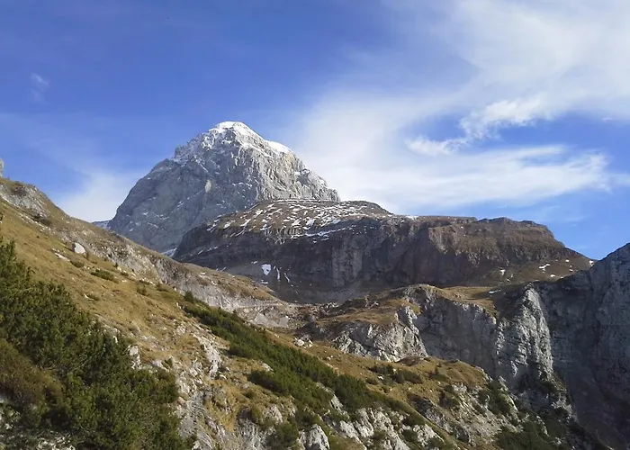 דירה House Natura With Garden *