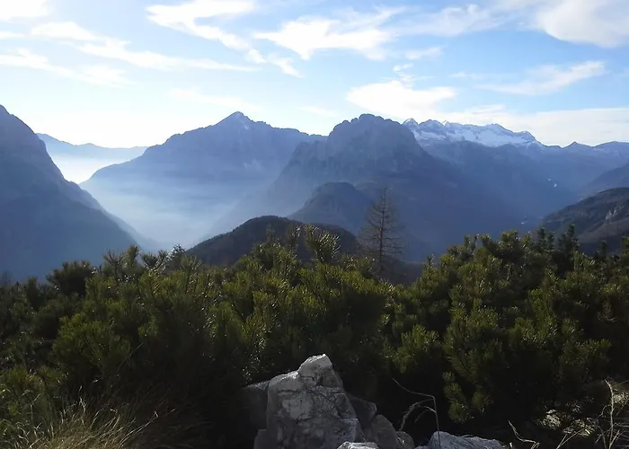 House Natura With Garden * בובק